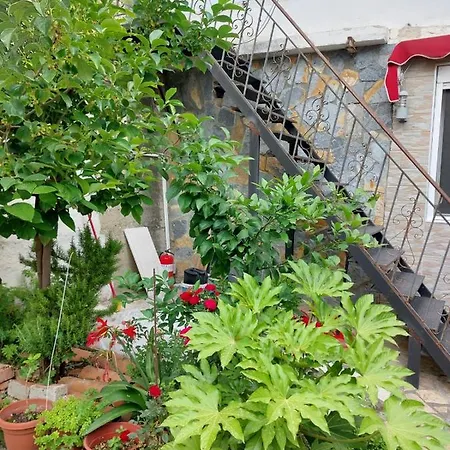 Herta 培拉特
